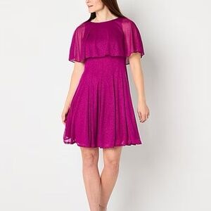 NWT Danny & Nicole Fit & Flare Mulberry Dress Size 14